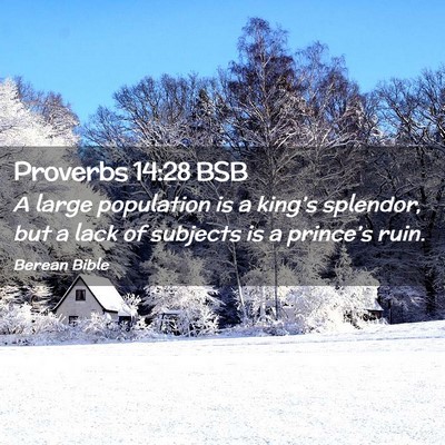 Picture 02 - Proverbs 14:28 BSB - A large population is a king’s splendor, but a - Bible Verse Picture
