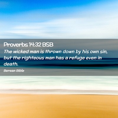 Picture 02 - Proverbs 14:32 BSB - The wicked man is thrown down by his own sin, but - Bible Verse Picture