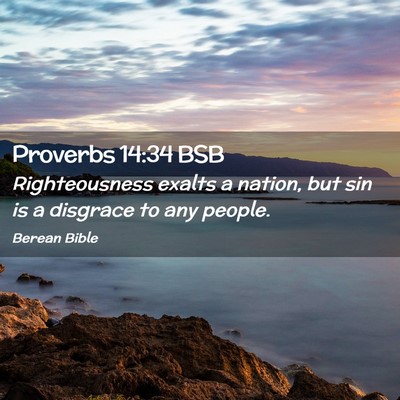Picture 02 - Proverbs 14:34 BSB - Righteousness exalts a nation, but sin is a - Bible Verse Picture