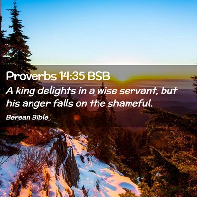 Picture 02 - Proverbs 14:35 BSB - A king delights in a wise servant, but his anger - Bible Verse Picture
