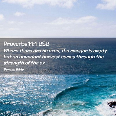 Picture 02 - Proverbs 14:4 BSB - Where there are no oxen, the manger is empty, but - Bible Verse Picture