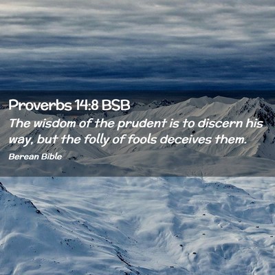 Picture 02 - Proverbs 14:8 BSB - The wisdom of the prudent is to discern his way, - Bible Verse Picture