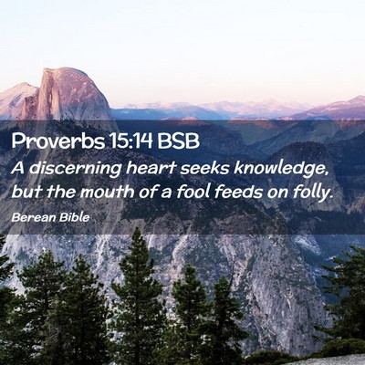 Picture 02 - Proverbs 15:14 BSB - A discerning heart seeks knowledge, but the mouth - Bible Verse Picture