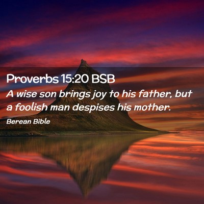 Picture 02 - Proverbs 15:20 BSB - A wise son brings joy to his father, but a - Bible Verse Picture