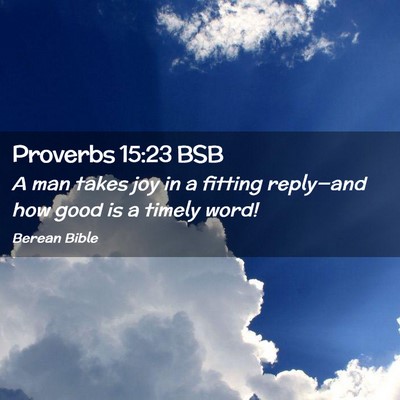 Picture 02 - Proverbs 15:23 BSB - A man takes joy in a fitting reply—and how good - Bible Verse Picture