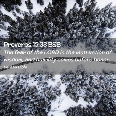 Picture 02 - Proverbs 15:33 BSB - The fear of the LORD is the instruction of - Bible Verse Picture