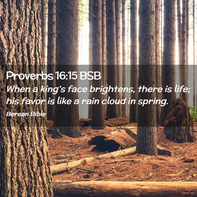 Picture 02 - Proverbs 16:15 BSB - When a king’s face brightens, there is life; - Bible Verse Picture