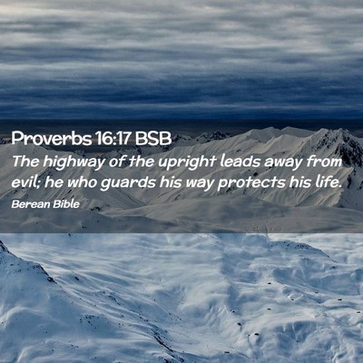 Picture 02 - Proverbs 16:17 BSB - The highway of the upright leads away from evil; - Bible Verse Picture