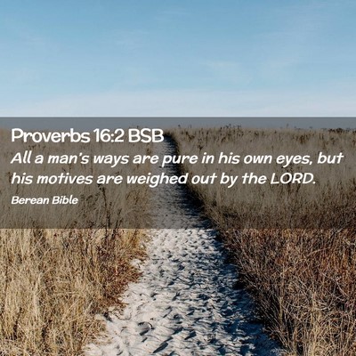Picture 02 - Proverbs 16:2 BSB - All a man’s ways are pure in his own eyes, but - Bible Verse Picture
