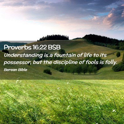 Picture 02 - Proverbs 16:22 BSB - Understanding is a fountain of life to its - Bible Verse Picture