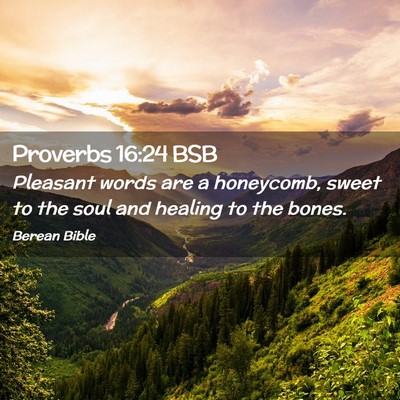 Picture 02 - Proverbs 16:24 BSB - Pleasant words are a honeycomb, sweet to the soul - Bible Verse Picture