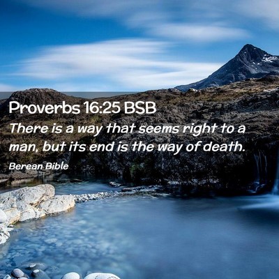 Picture 02 - Proverbs 16:25 BSB - There is a way that seems right to a man, but its - Bible Verse Picture