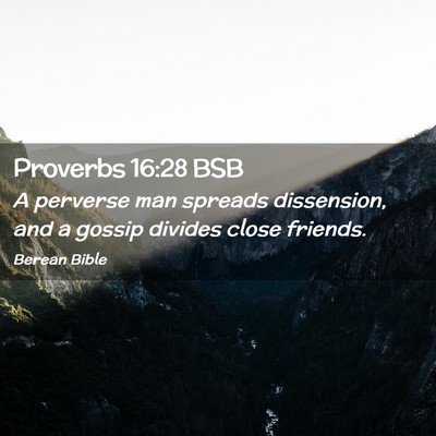 Picture 02 - Proverbs 16:28 BSB - A perverse man spreads dissension, and a gossip - Bible Verse Picture