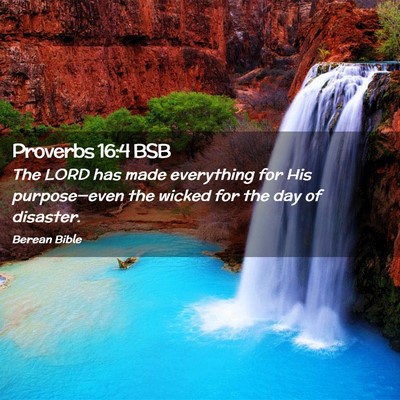 Picture 02 - Proverbs 16:4 BSB - The LORD has made everything for His - Bible Verse Picture