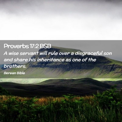 Picture 02 - Proverbs 17:2 BSB - A wise servant will rule over a disgraceful son - Bible Verse Picture