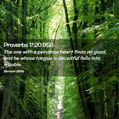 Picture 02 - Proverbs 17:20 BSB - The one with a perverse heart finds no good, and - Bible Verse Picture