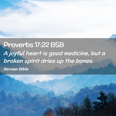 Picture 02 - Proverbs 17:22 BSB - A joyful heart is good medicine, but a broken - Bible Verse Picture