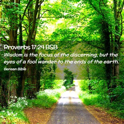 Picture 02 - Proverbs 17:24 BSB - Wisdom is the focus of the discerning, but the - Bible Verse Picture