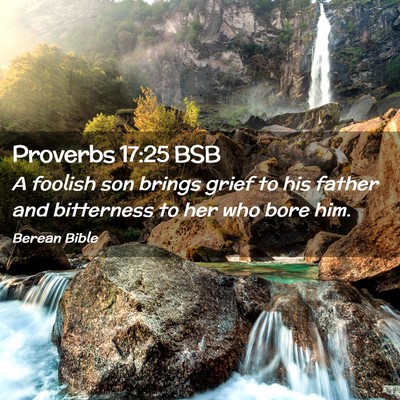 Picture 02 - Proverbs 17:25 BSB - A foolish son brings grief to his father and - Bible Verse Picture