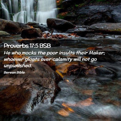 Picture 02 - Proverbs 17:5 BSB - He who mocks the poor insults their Maker; - Bible Verse Picture