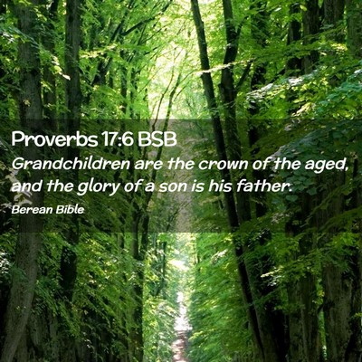 Picture 02 - Proverbs 17:6 BSB - Grandchildren are the crown of the aged, and the - Bible Verse Picture