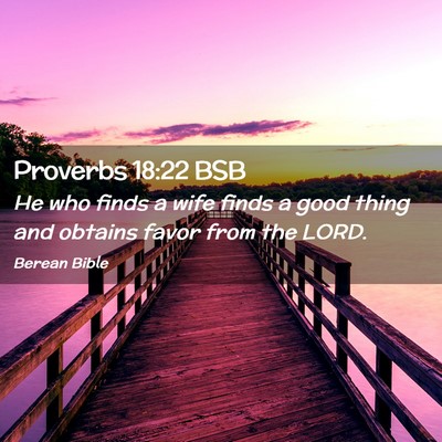 Picture 02 - Proverbs 18:22 BSB - He who finds a wife finds a good thing and - Bible Verse Picture