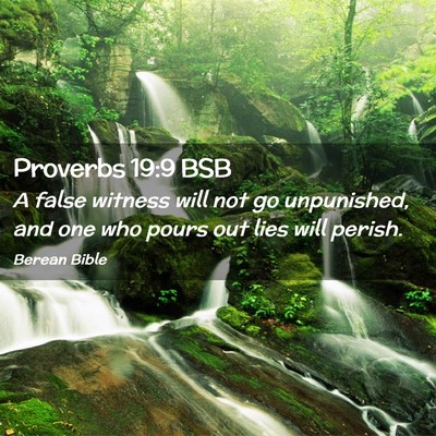 Picture 02 - Proverbs 19:9 BSB - A false witness will not go unpunished, and one - Bible Verse Picture