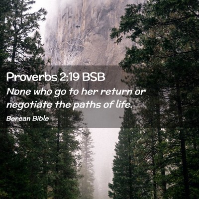 Picture 02 - Proverbs 2:19 BSB - None who go to her return or negotiate the paths - Bible Verse Picture