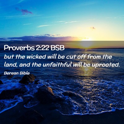 Picture 02 - Proverbs 2:22 BSB - but the wicked will be cut off from the land, and - Bible Verse Picture