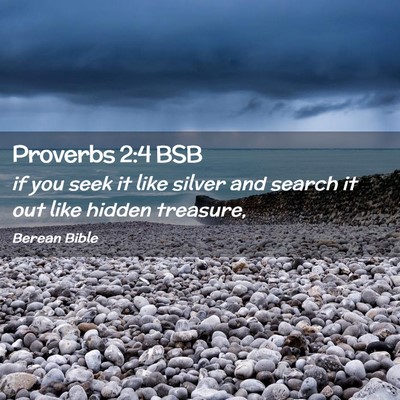 Picture 02 - Proverbs 2:4 BSB - if you seek it like silver and search it out like - Bible Verse Picture