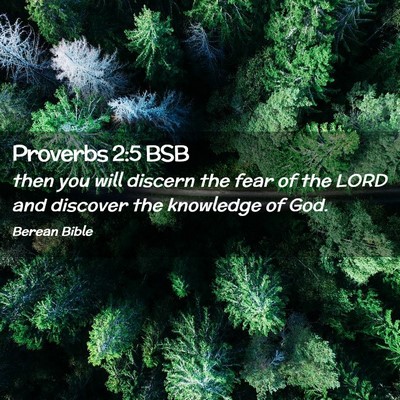 Picture 02 - Proverbs 2:5 BSB - then you will discern the fear of the LORD and - Bible Verse Picture
