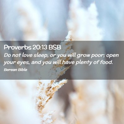 Picture 02 - Proverbs 20:13 BSB - Do not love sleep, or you will grow poor; open - Bible Verse Picture