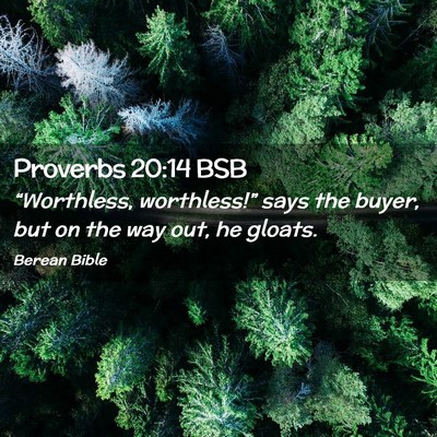 Picture 02 - Proverbs 20:14 BSB - “Worthless, worthless!” says the buyer, but - Bible Verse Picture