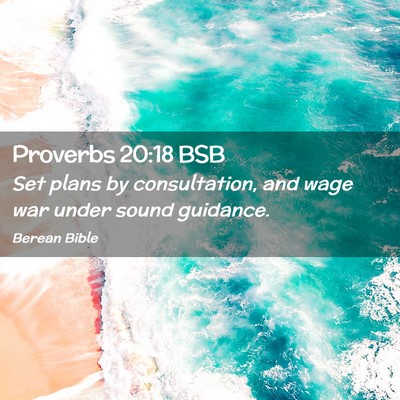 Picture 02 - Proverbs 20:18 BSB - Set plans by consultation, and wage war under - Bible Verse Picture