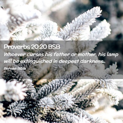 Picture 02 - Proverbs 20:20 BSB - Whoever curses his father or mother, his lamp - Bible Verse Picture