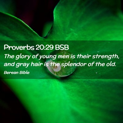 Picture 02 - Proverbs 20:29 BSB - The glory of young men is their strength, and - Bible Verse Picture