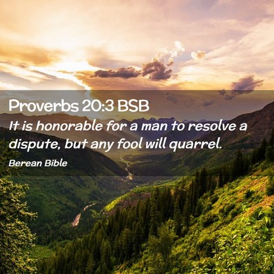 Picture 02 - Proverbs 20:3 BSB - It is honorable for a man to resolve a dispute, - Bible Verse Picture