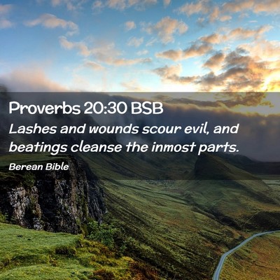 Picture 02 - Proverbs 20:30 BSB - Lashes and wounds scour evil, and beatings - Bible Verse Picture