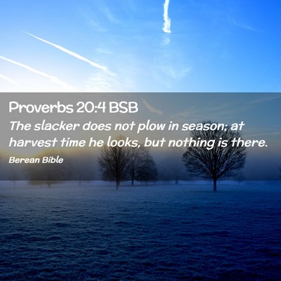 Picture 02 - Proverbs 20:4 BSB - The slacker does not plow in season; at harvest - Bible Verse Picture