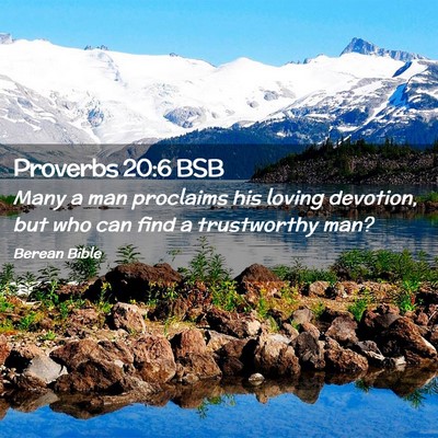 Picture 02 - Proverbs 20:6 BSB - Many a man proclaims his loving devotion, but who - Bible Verse Picture