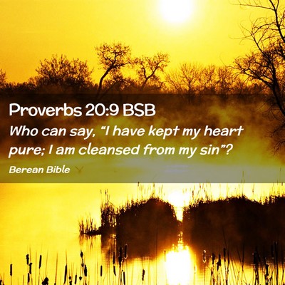 Picture 02 - Proverbs 20:9 BSB - Who can say, “I have kept my heart pure; I am - Bible Verse Picture