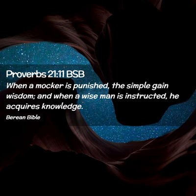 Picture 02 - Proverbs 21:11 BSB - When a mocker is punished, the simple gain - Bible Verse Picture