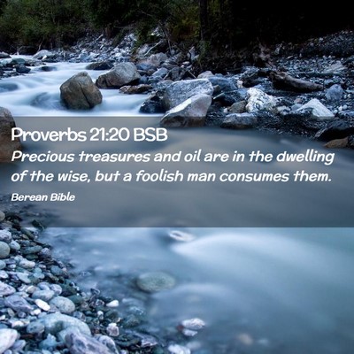 Picture 02 - Proverbs 21:20 BSB - Precious treasures and oil are in the dwelling of - Bible Verse Picture