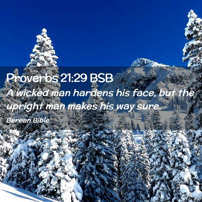 Picture 02 - Proverbs 21:29 BSB - A wicked man hardens his face, but the upright - Bible Verse Picture