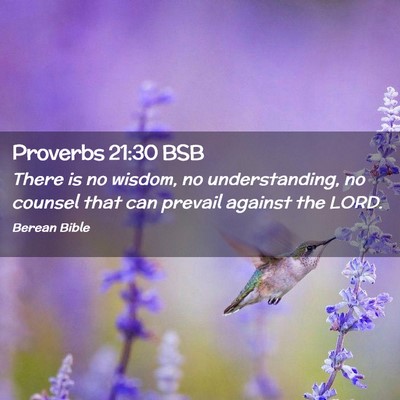 Picture 02 - Proverbs 21:30 BSB - There is no wisdom, no understanding, no counsel - Bible Verse Picture