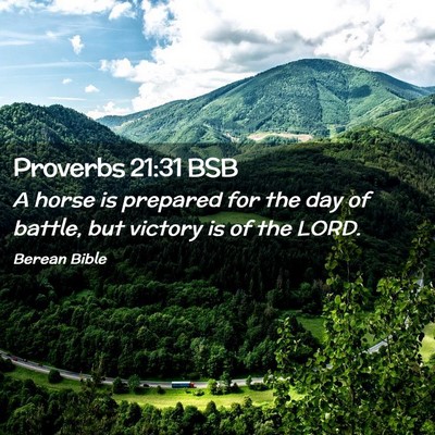 Picture 02 - Proverbs 21:31 BSB - A horse is prepared for the day of battle, but - Bible Verse Picture