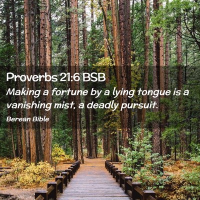 Picture 02 - Proverbs 21:6 BSB - Making a fortune by a lying tongue is a vanishing - Bible Verse Picture