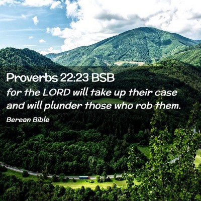 Picture 02 - Proverbs 22:23 BSB - for the LORD will take up their case and will - Bible Verse Picture