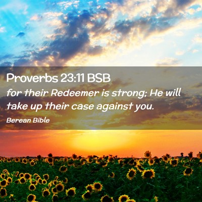Picture 02 - Proverbs 23:11 BSB - for their Redeemer is strong; He will take up - Bible Verse Picture
