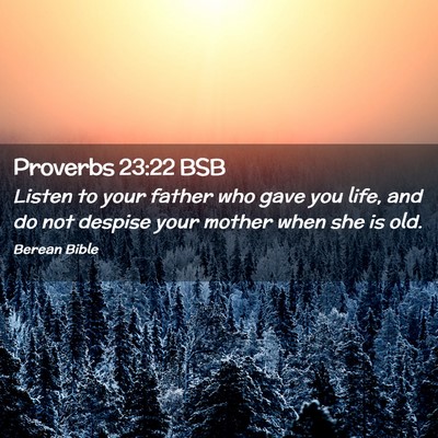 Picture 02 - Proverbs 23:22 BSB - Listen to your father who gave you life, and do - Bible Verse Picture